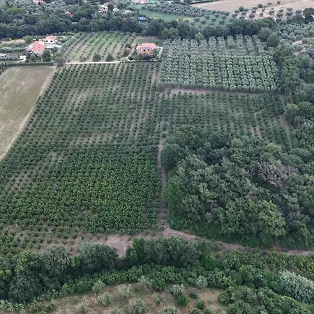 Alojamento de Acomodação e Pequeno-almoço Le Quattro Stagioni Viterbo
