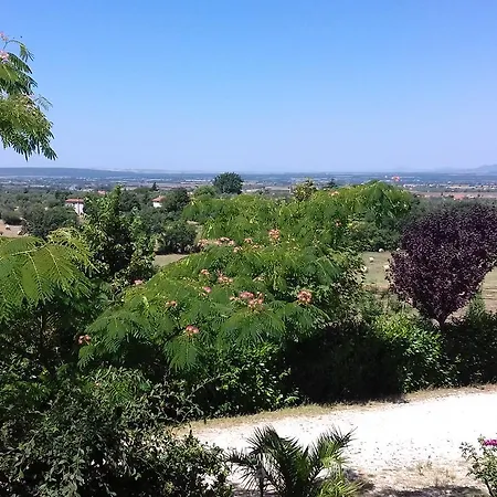 Le Quattro Stagioni Bed & Breakfast Viterbo
